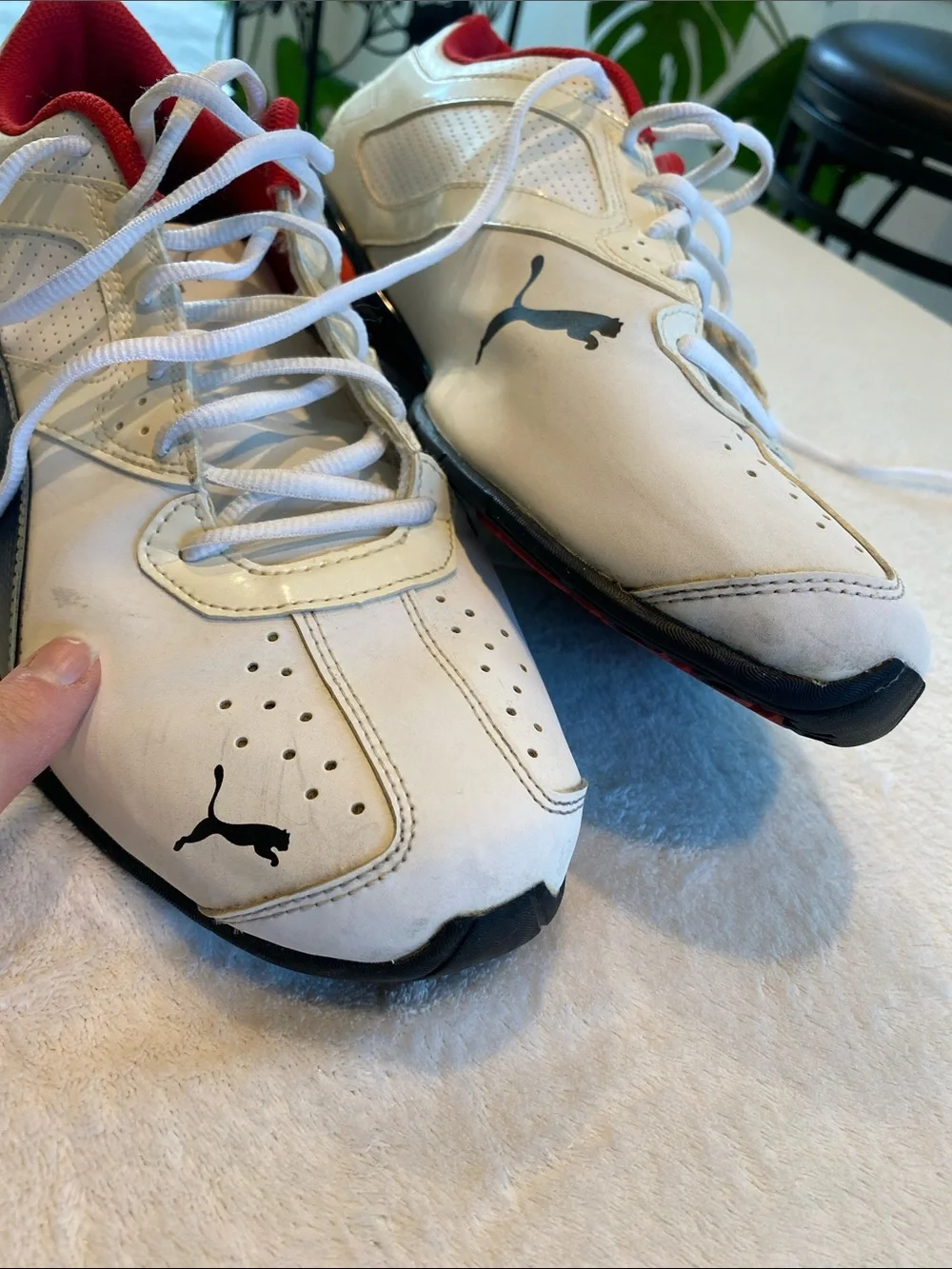Puma tazon fm